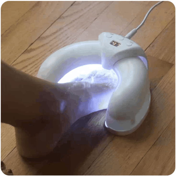 how to use FungaBeam